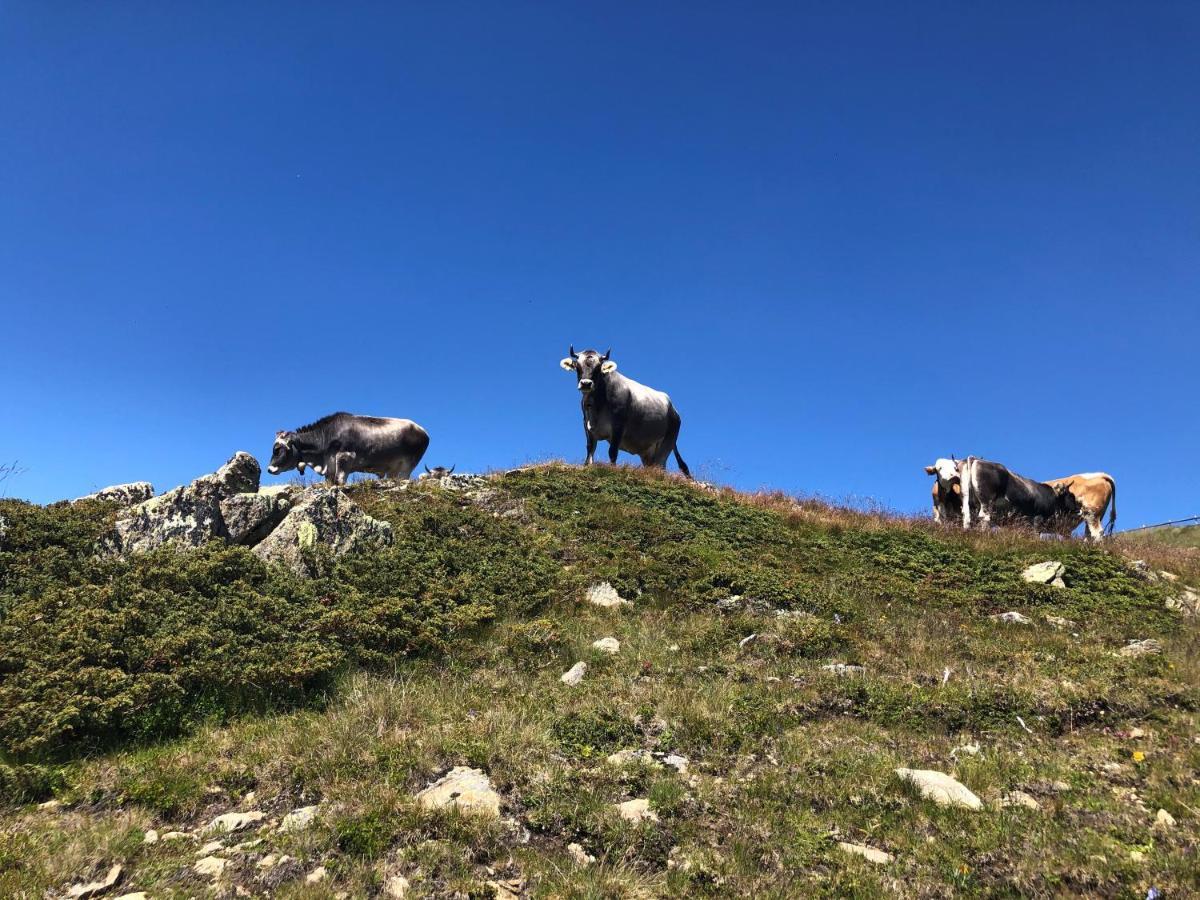 Gschloessle Ferienwohnungen Jerzens Buitenkant foto